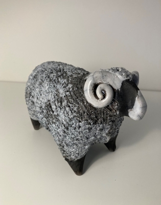 Sheep Swaledale by Alison Fisher