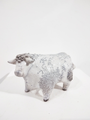 Bull White by Alison Fisher