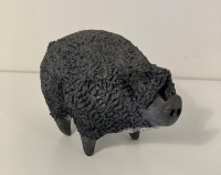 Pig Mangalista (Wooly) Black