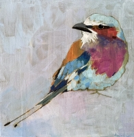 Lilac Breasted Roller by Christopher Rainham