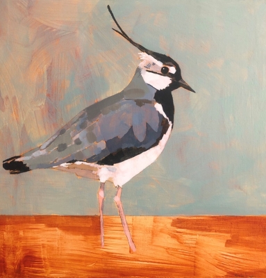 Lapwing