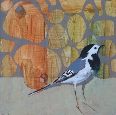 Pied Wagtail and Stones by Christopher Rainham